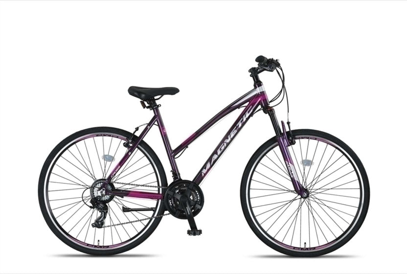 Magnetic 28 Inch 52 cm Women 21SP Rim Brakes Anthracite, Online σε Προσφορά Outlet Καταστήματος με μεγάλη έκπτωση και στην καλύτερη τιμή