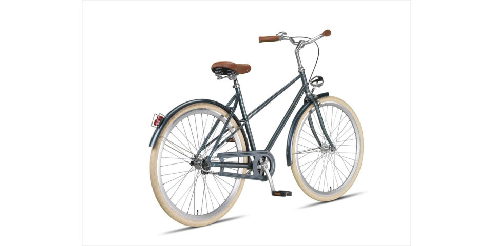Palermo 28 Inch 52 cm Women Coaster Brake Grey-green,
