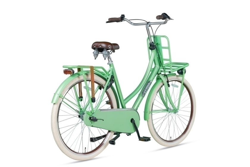 Vintage 28 Inch 57 cm Women 3SP Coaster Brake Light Green,