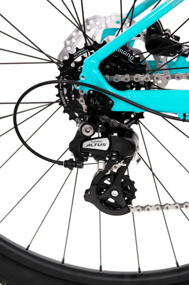 Catherine 10 29 Inch XS Unisex 14SP Hydraulic Disc Brake Turquoise,